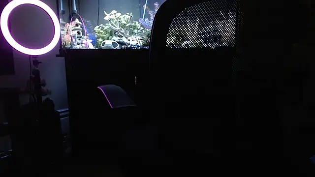 EspanolVato's cam snapshot