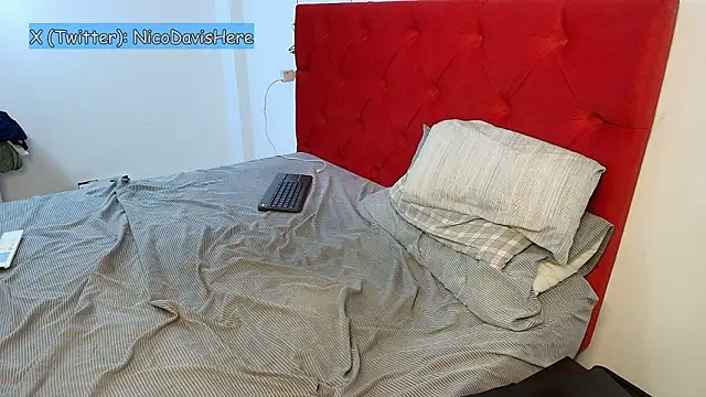 NicoDavisOfficial's cam snapshot