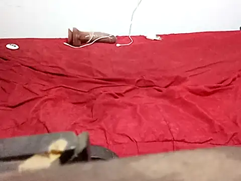 wel9238 live sex cam