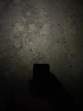 stallone_italiano_62's cam snapshot