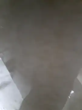 Egyptian1562@xh's cam snapshot