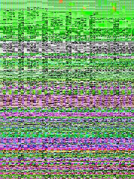 zara_bellexx live sex cam