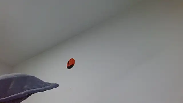 jaico_santos live sex cam