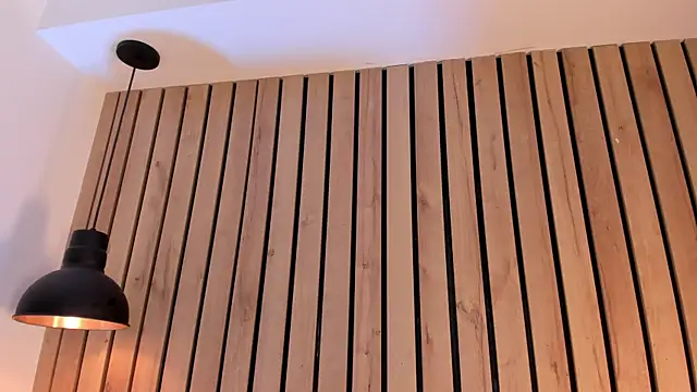 sofiesoft live sex cam