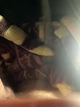 Ilyass_heway's cam snapshot