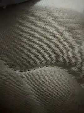 brunolorran6969's cam snapshot