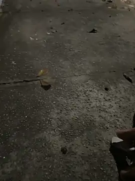 joel852 live sex cam