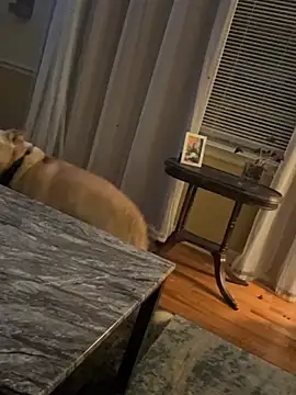 FireAfterDark's cam snapshot