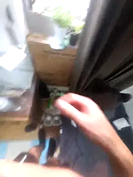 Shank599 live sex cam