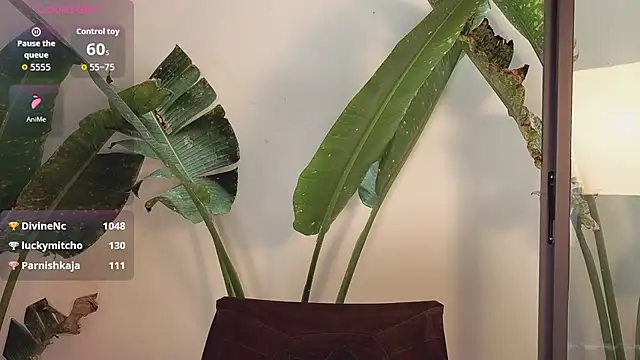 came-a-lot's cam snapshot