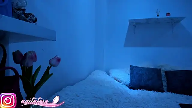 anitatoro_0's cam snapshot