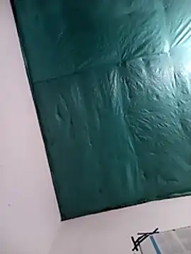 scarimobil's cam snapshot