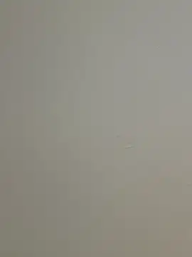 AvaDivaMilf live sex cam