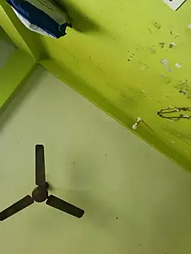 06Rozi's cam snapshot