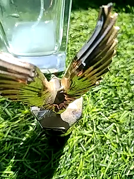 BlackhorseBBC live sex cam