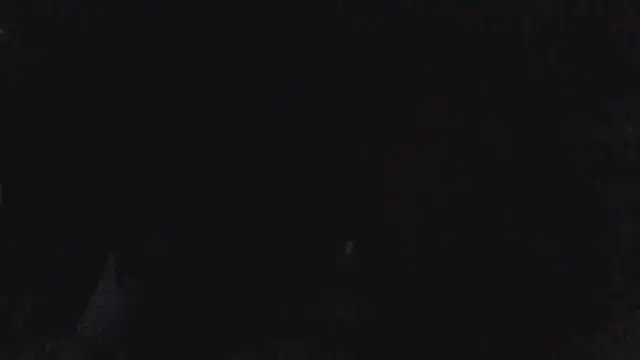 jaxx12369 live sex cam