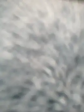 sanu_07's cam snapshot