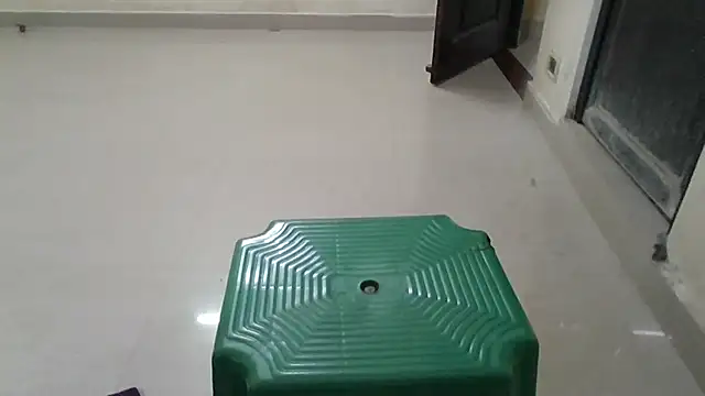 manisha7366's cam snapshot