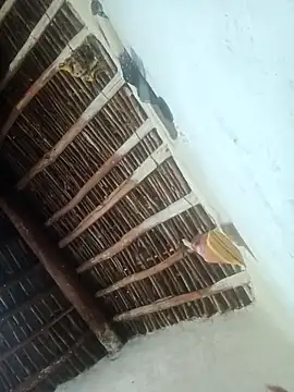 LOVE-VIKA's cam snapshot