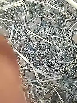 Desi_boy_fuck's cam snapshot