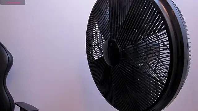 Valka_Ross's cam snapshot