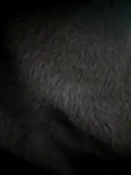 M-Lisha's cam snapshot