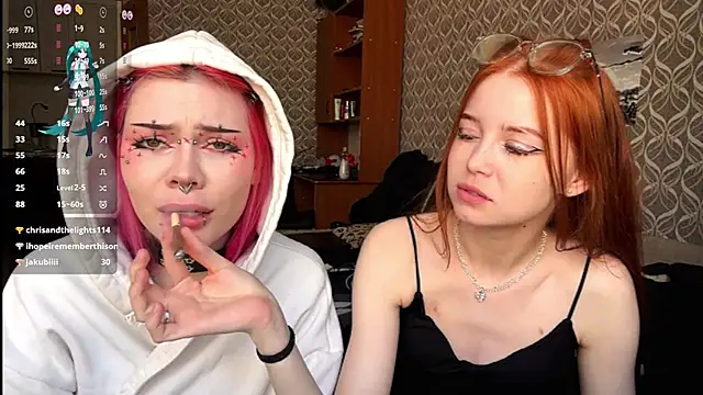 Veldenga's cam snapshot