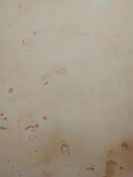 Sapna_baby1's cam snapshot