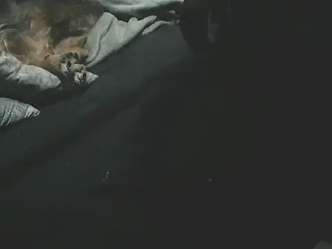 giovanift111's cam snapshot