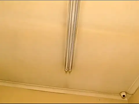 AfricanHoneyRosexxx's cam snapshot