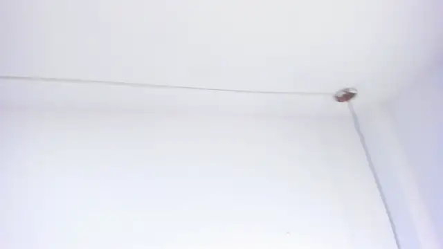 Alaia_Gutierrez's cam snapshot