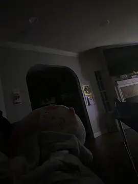 Tom32828's cam snapshot