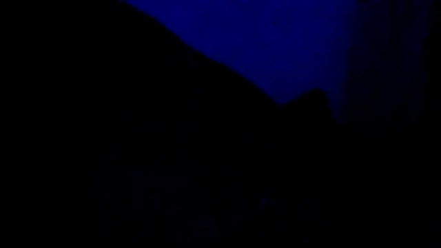 El_Gizmo live sex cam