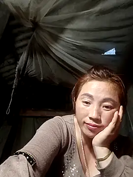 seacyre's cam snapshot