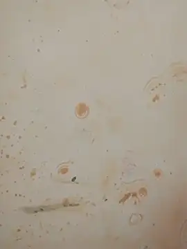 Sapna_baby1's cam snapshot