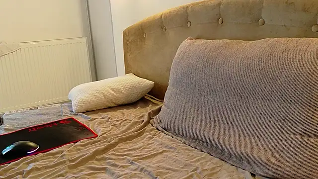 Brellisimo's cam snapshot