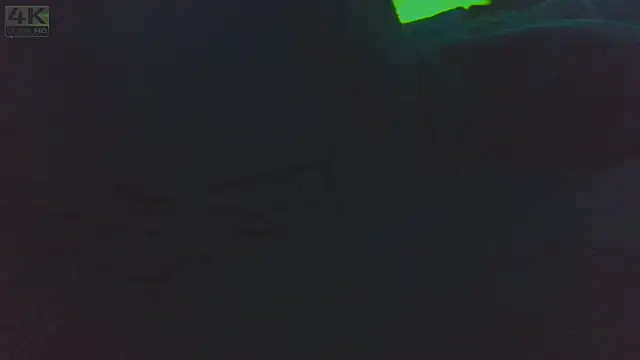 MeDDussa_'s cam snapshot