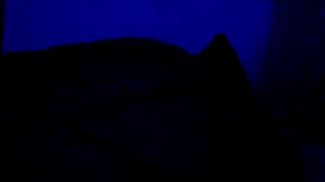 El_Gizmo live sex cam