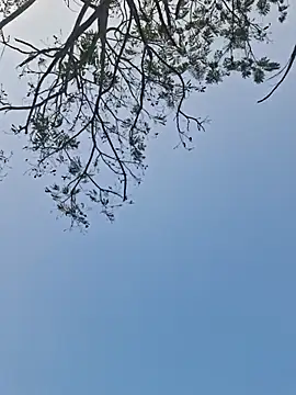 Indianboytelugu live sex cam