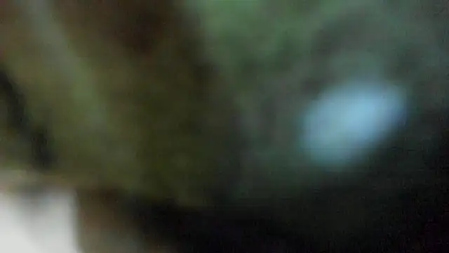 Scarlett_Barnes's cam snapshot