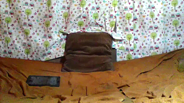 little__joy live sex cam