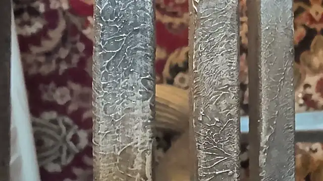 publicfun206xxx live sex cam