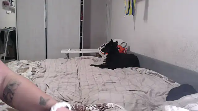 delightful_sofi live sex cam