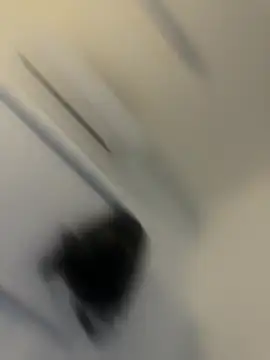 AshaLiveCam's cam snapshot