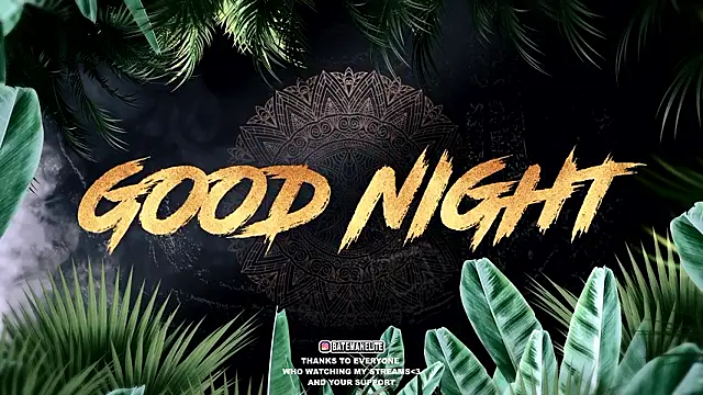 sebirp's cam snapshot