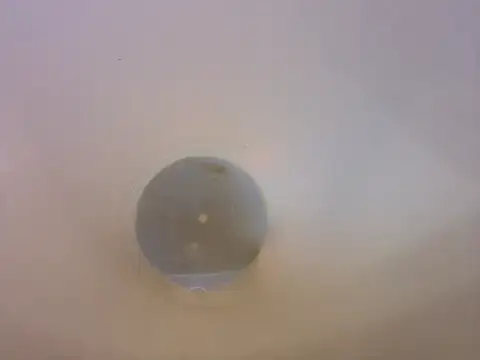 BustedCall's cam snapshot