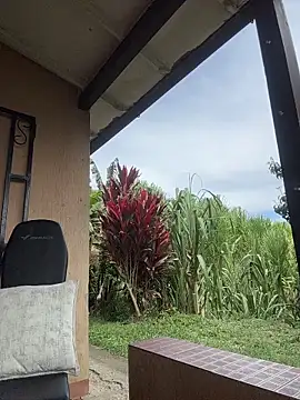 Marco_Vega live sex cam