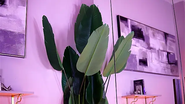 HaylieMilf live sex cam