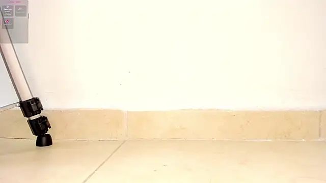 AriSweet live sex cam