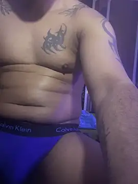 CLOUDY-Arabian_pharaon's cam snapshot